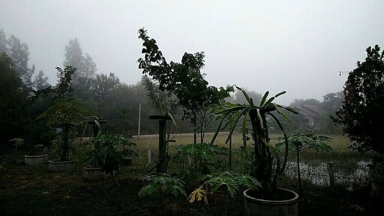 Hotel Songphu Homestay