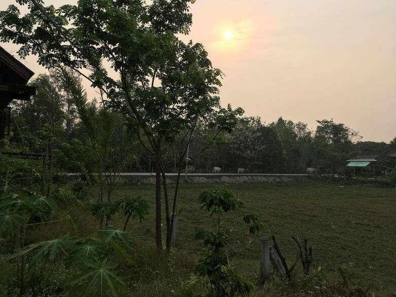 Hotel Songphu Homestay
