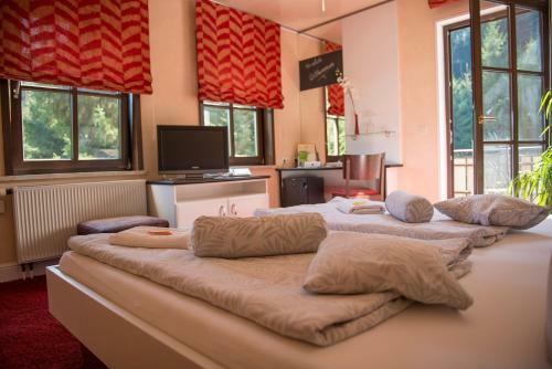 Flair-waldhotel Mellestollen