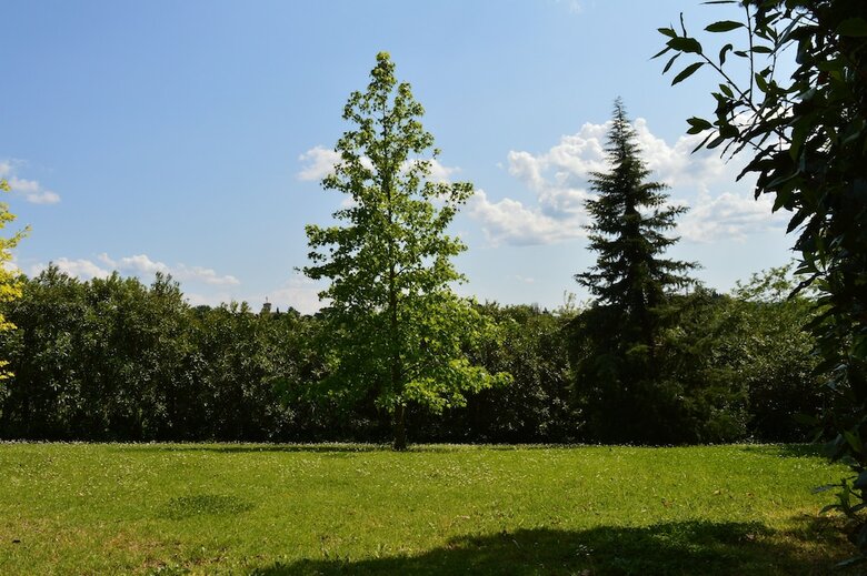 Apartments S.caterina Abete