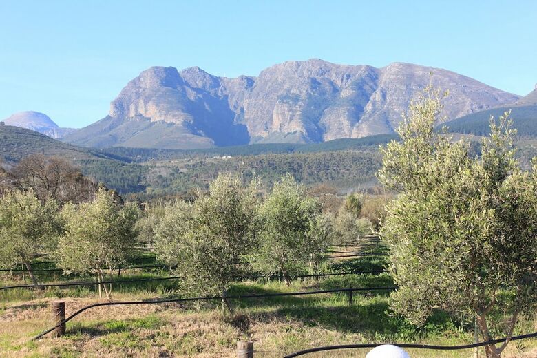Village Lodge Paarl