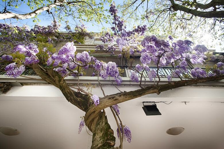 Hotel Albergo Villa Lucia