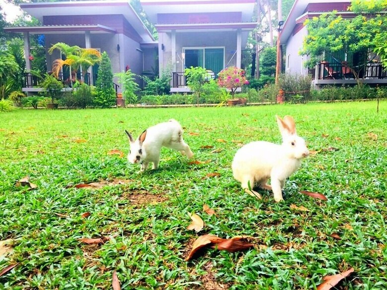Hotel Pana Long Beach Resort