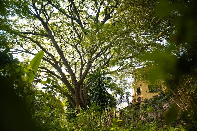 Hotel Rancho La Joya