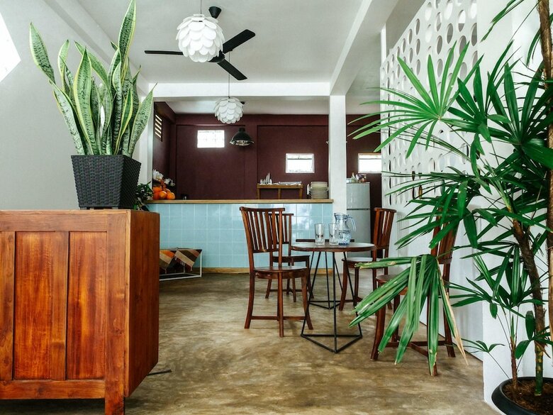 Bed & Breakfast Jungle Soul