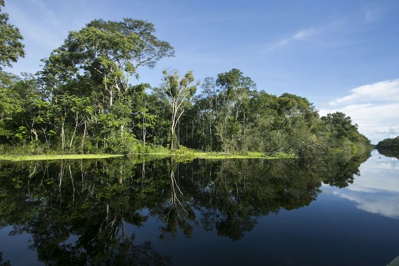 Posada Amak Iquitos Ecolodge - All Inclusive