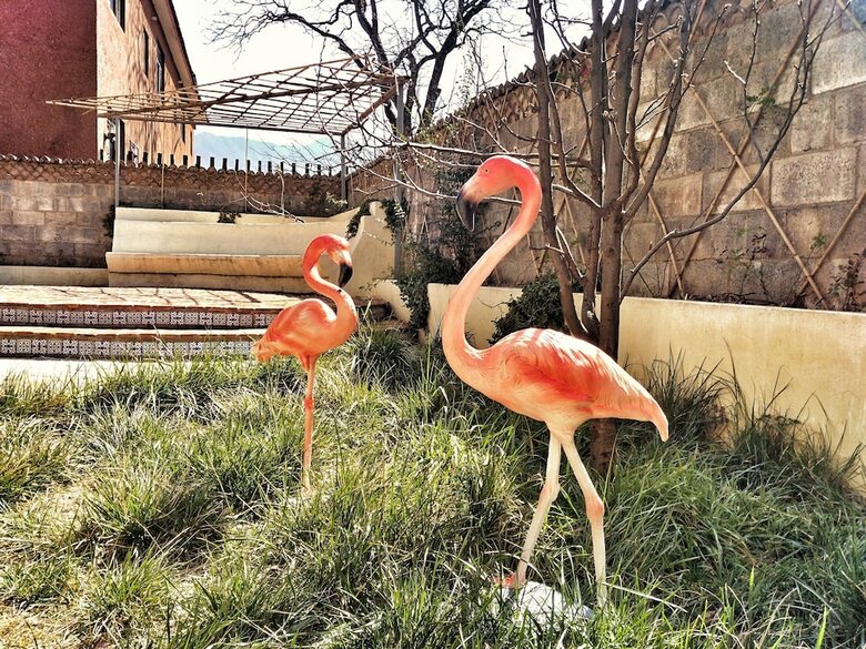 Baisha Flamingo Hotel