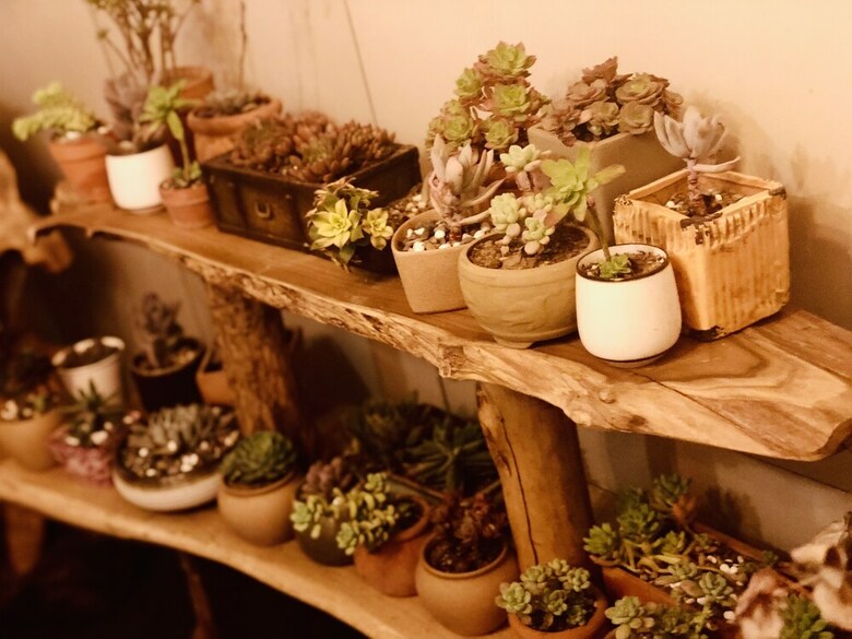 Posada Pusu Jade Boutique Hotel