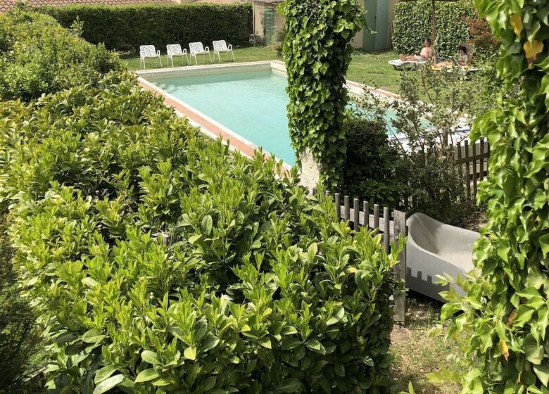 Acanthes & Provence