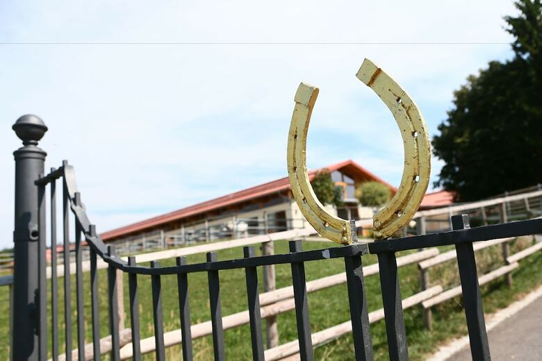 Hotel Allg�u Meadow Ranch