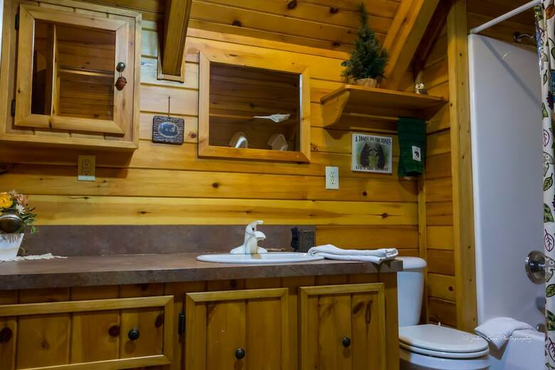 Blue Ridge Parkway Cabin Rentals