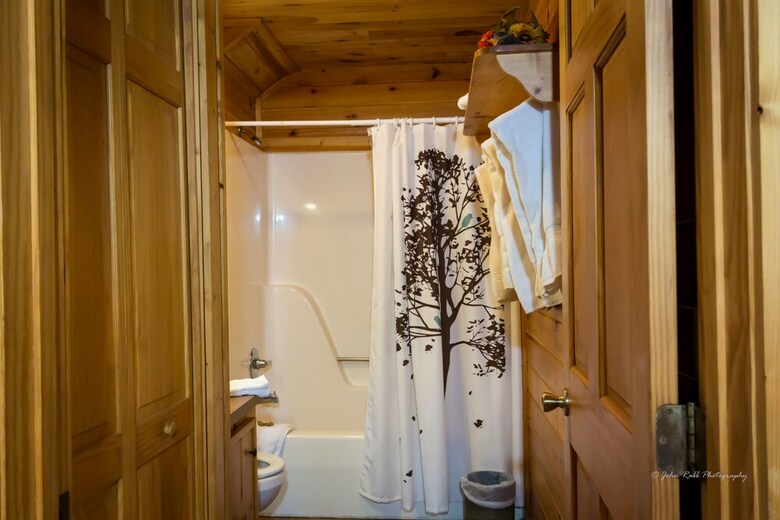 Blue Ridge Parkway Cabin Rentals