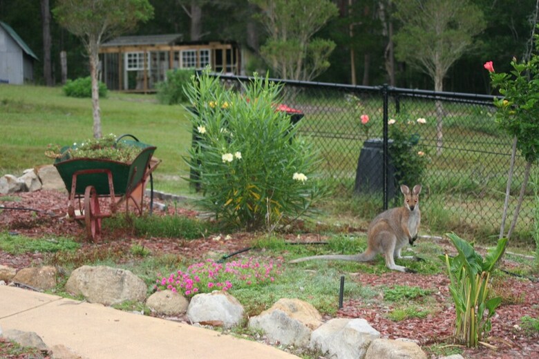 Arcadia Retreat