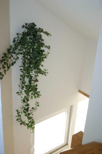 Hostal Gasthof Zum Stausee