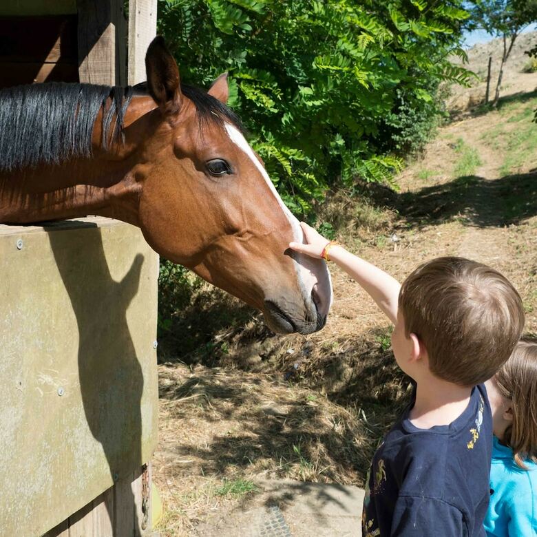 Agroturismo Agriturismo Le Valli