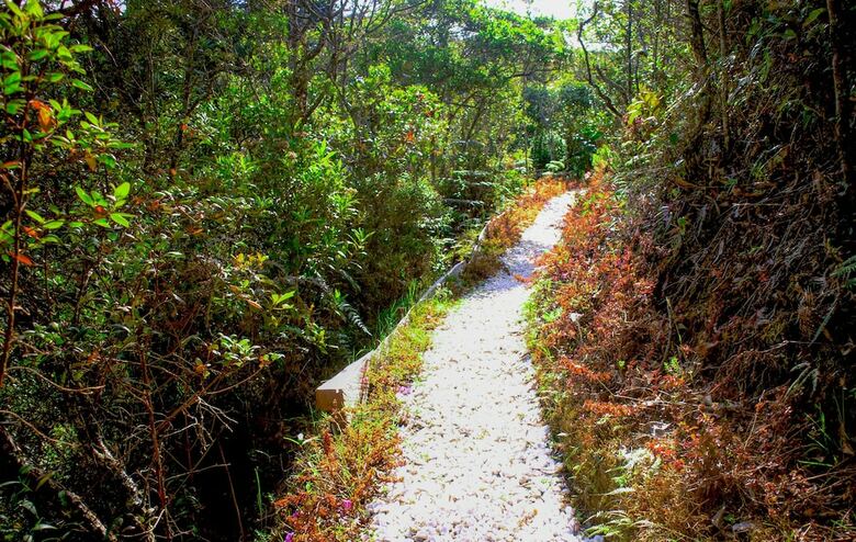 Posada Salvaje Glamping