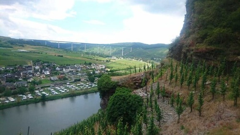 Hotel Weingut & G�stehaus Kaufmann-schneider