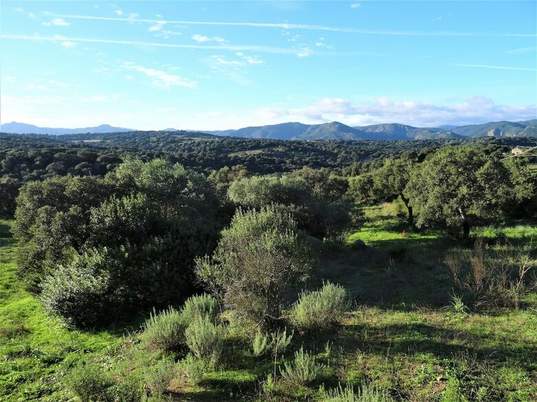 Bed & Breakfast La Scala