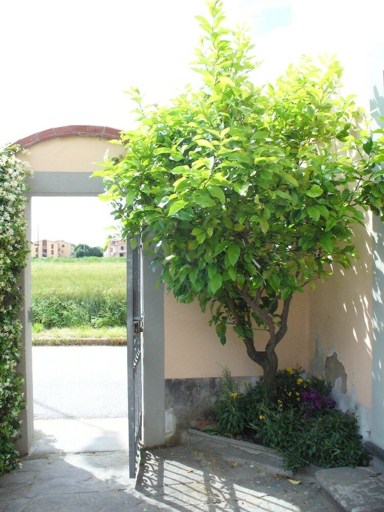 Bed & Breakfast La Convenienza