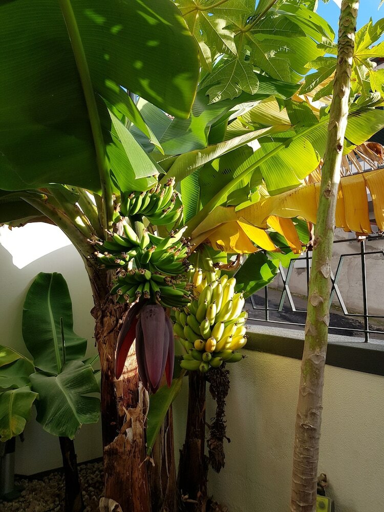Apartamentos Light Breeze