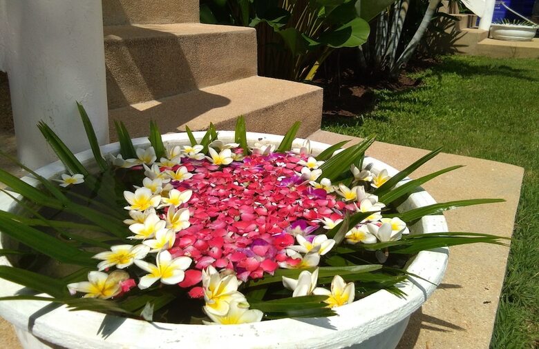 Hotel Visit Natural Detox Resort