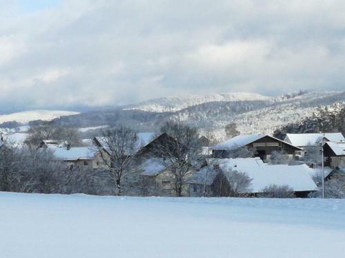 Hotel Gasthaus Zur Waldesruh