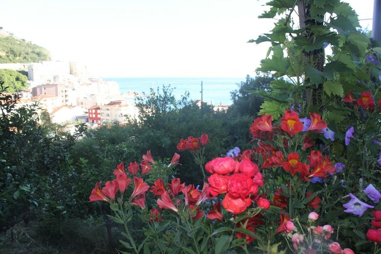 Hotel Apartmani Luka Villa