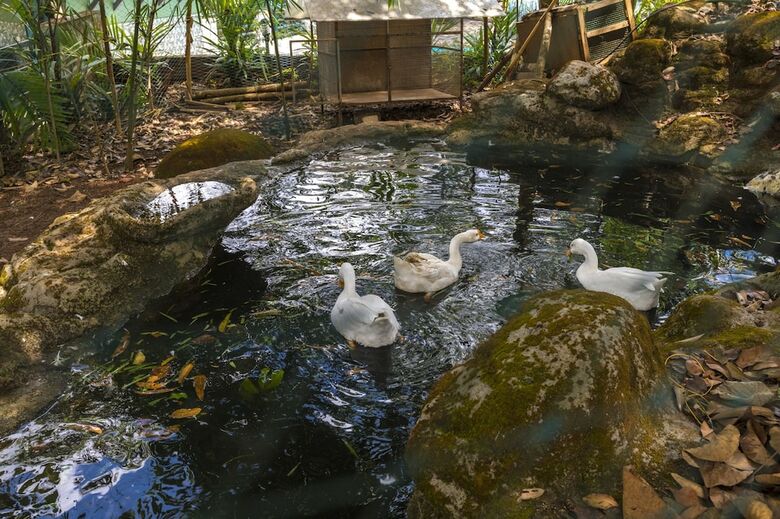 Hotel Adithya Nature Resort & Spa