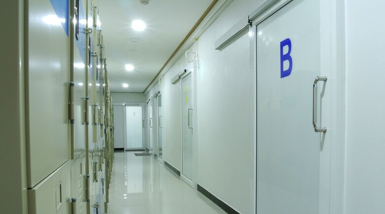 Hostal Express Hostel