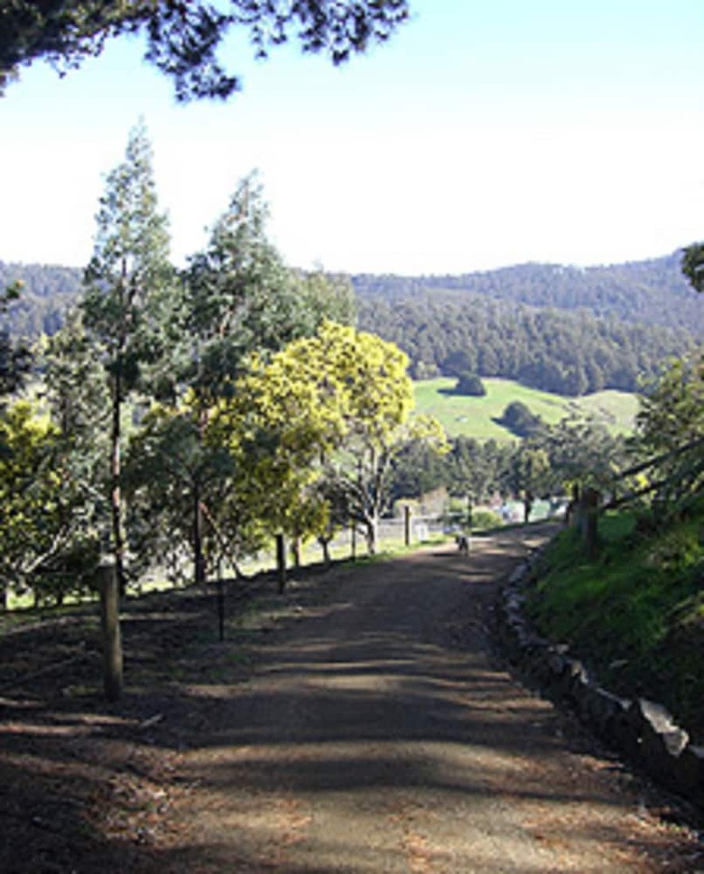 Shanleys Huon Valley