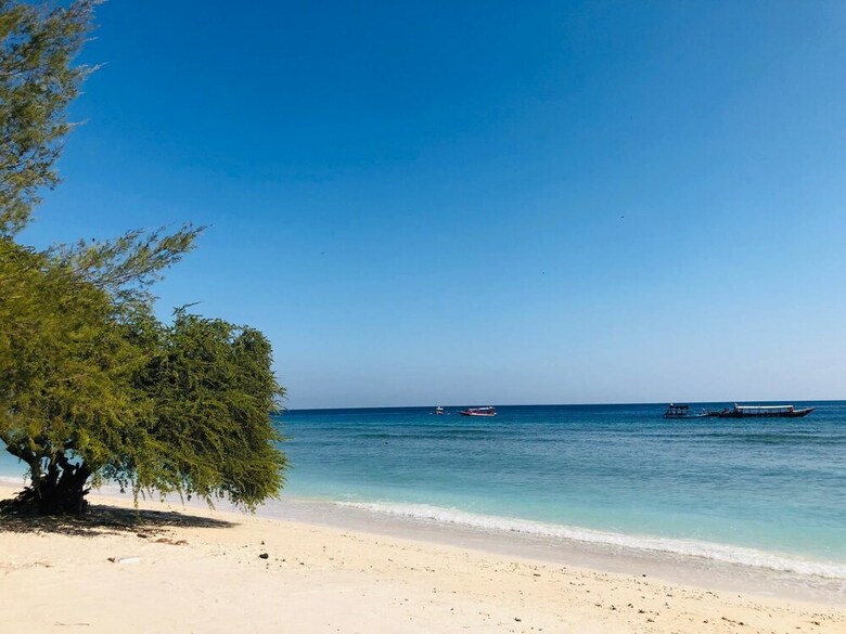 Villa Coral Flora
