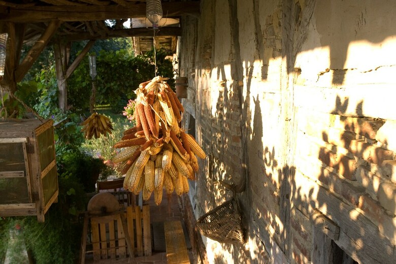 La Ferme De Montalibord - Le G�te