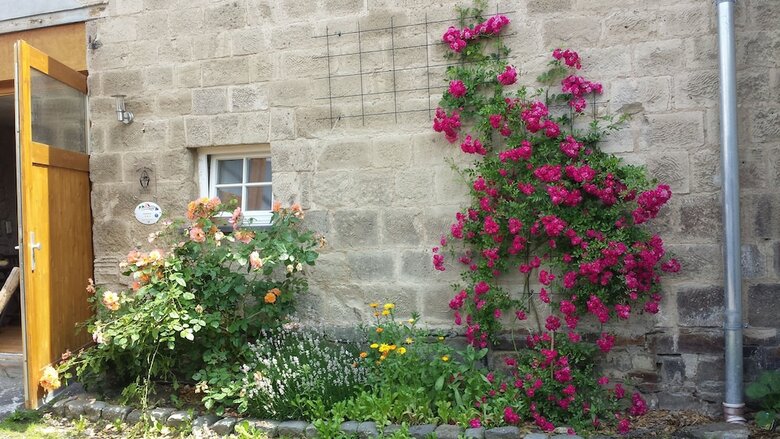 Bed & Breakfast Marco's Heuboden