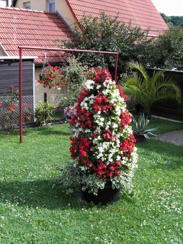 Hostal Pension M�hring