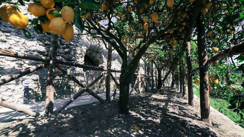 Apartamento Pontone Hills On Amalfi