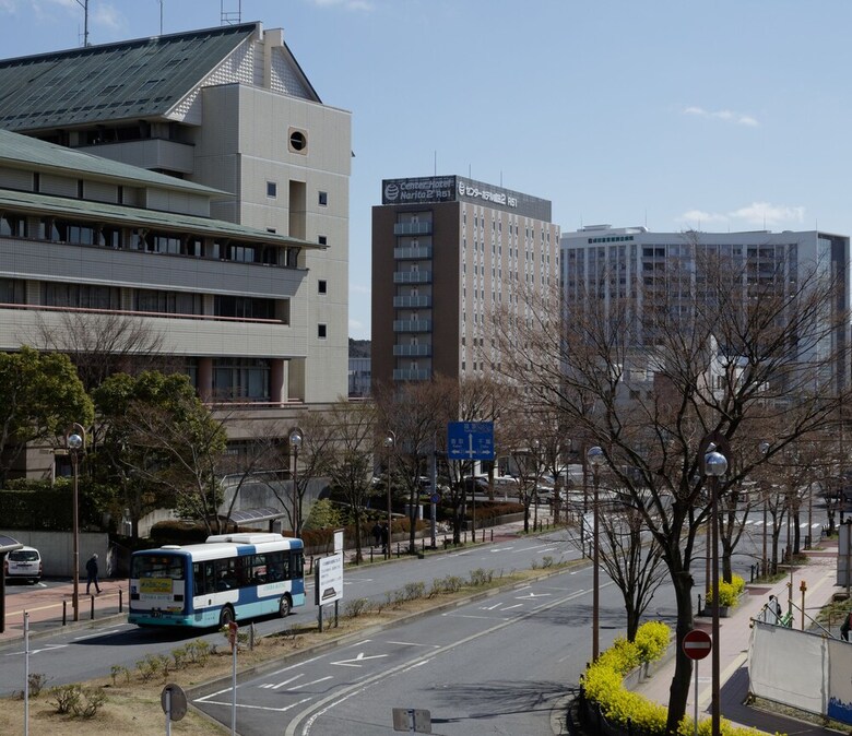 Center Hotel Narita 2 R51