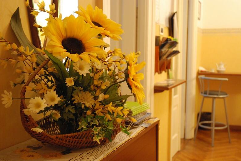 Apartamento Affittacamere Girasole