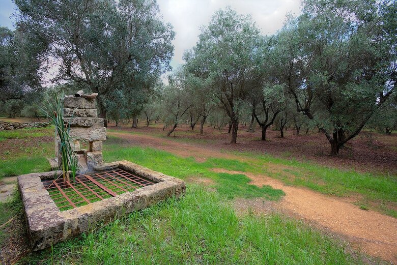 Agroturismo Masseria Piarmi