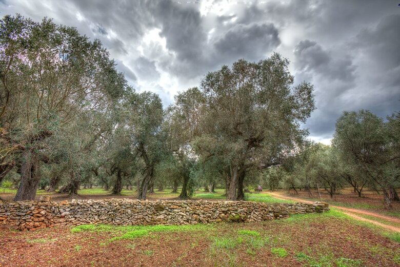 Agroturismo Masseria Piarmi