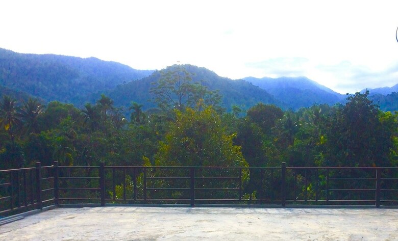 Hotel Lace House Homestay