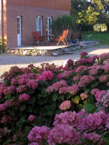 Agroturismo Hof Faasel - Bauernhofurlaub An Der Ostsee