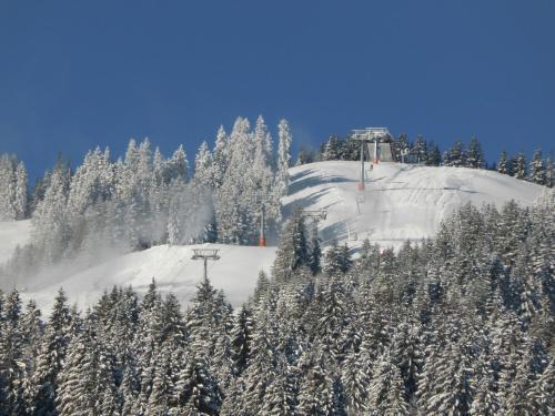 Hostal Ferienhotel Silberdistel Garni