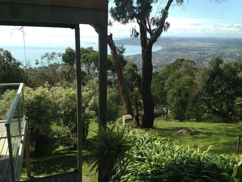 Dream Views At Arthurs Seat B&B