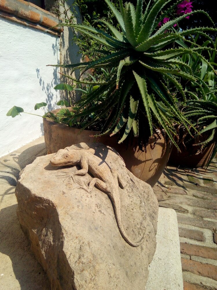 Apartamentos Casa Boutique Las Piedras