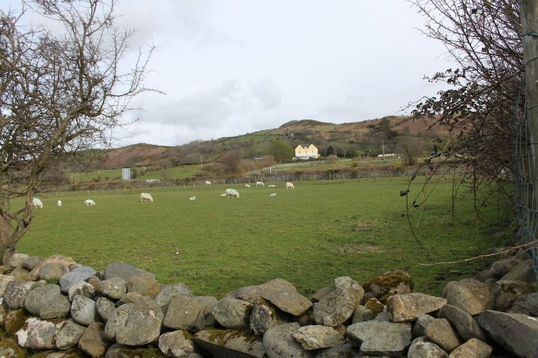 Hotel Bryn Eisteddfod B&B