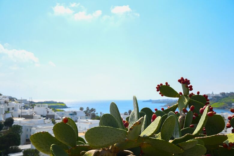 Apartamentos Amperian Mykonos Suites