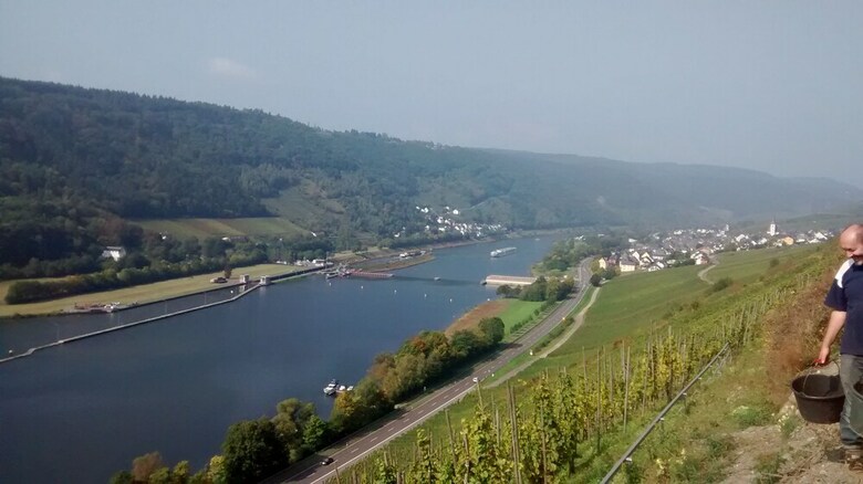 Hotel Weingut Sauer-kettermann