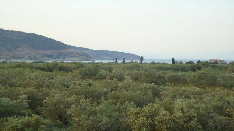 Glyfada Villas 2