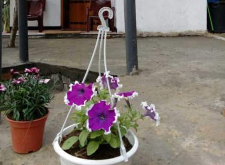 Hotel Yoho Granny's Cottage
