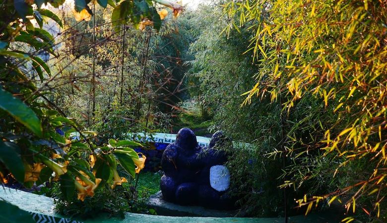Hotel Le Bambou Gorilla Lodge
